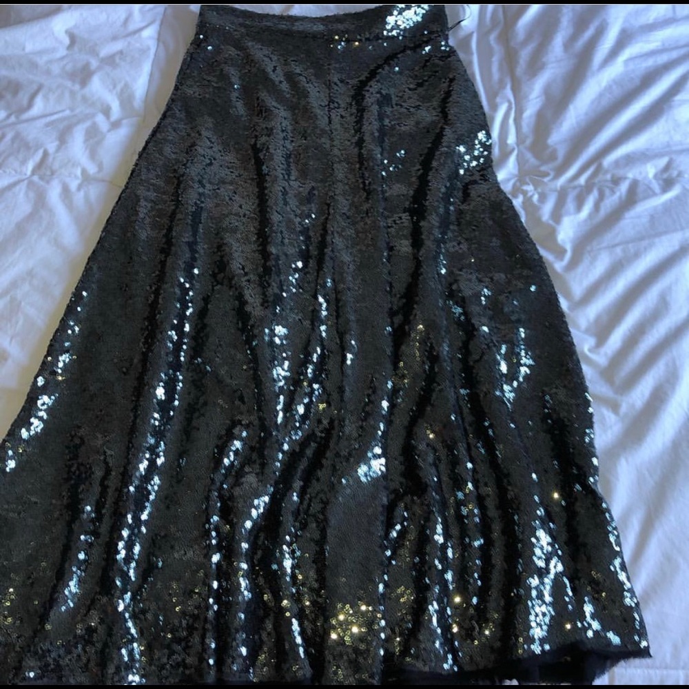 Zara sequin skirt